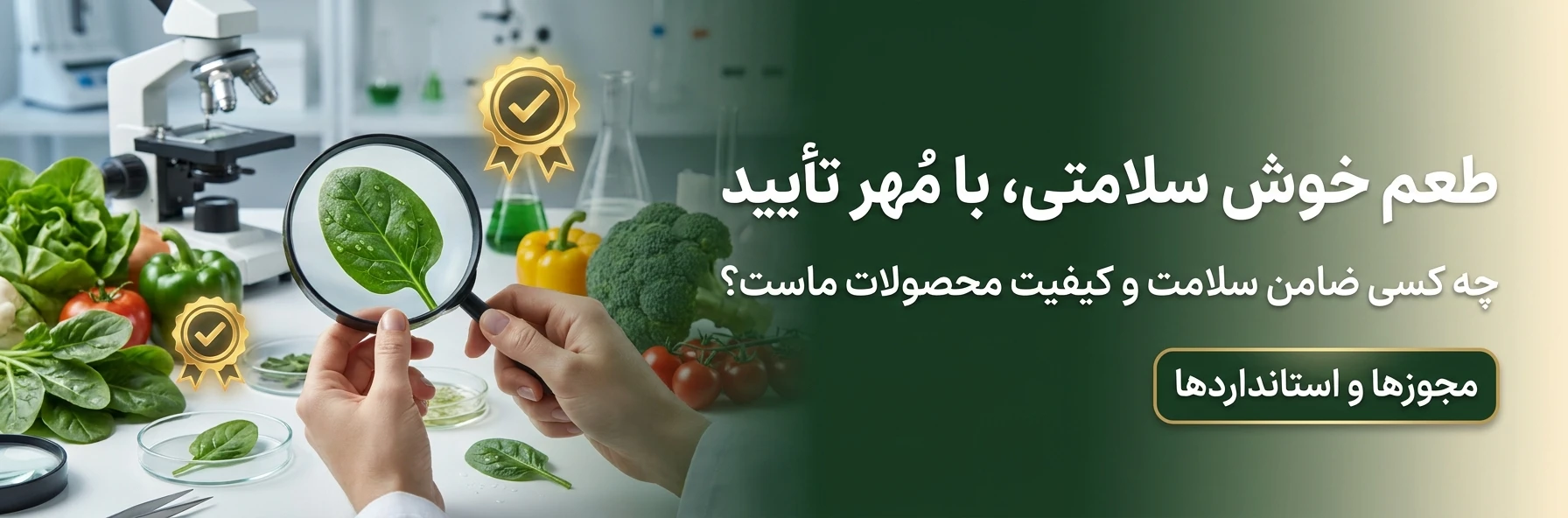 مجوزها و استانداردهای بهداشتی آلاگون - گواهینامه‌های کیفیت، پروانه‌های بهداشت و استانداردهای تولید سبزیجات تازه و خشک"