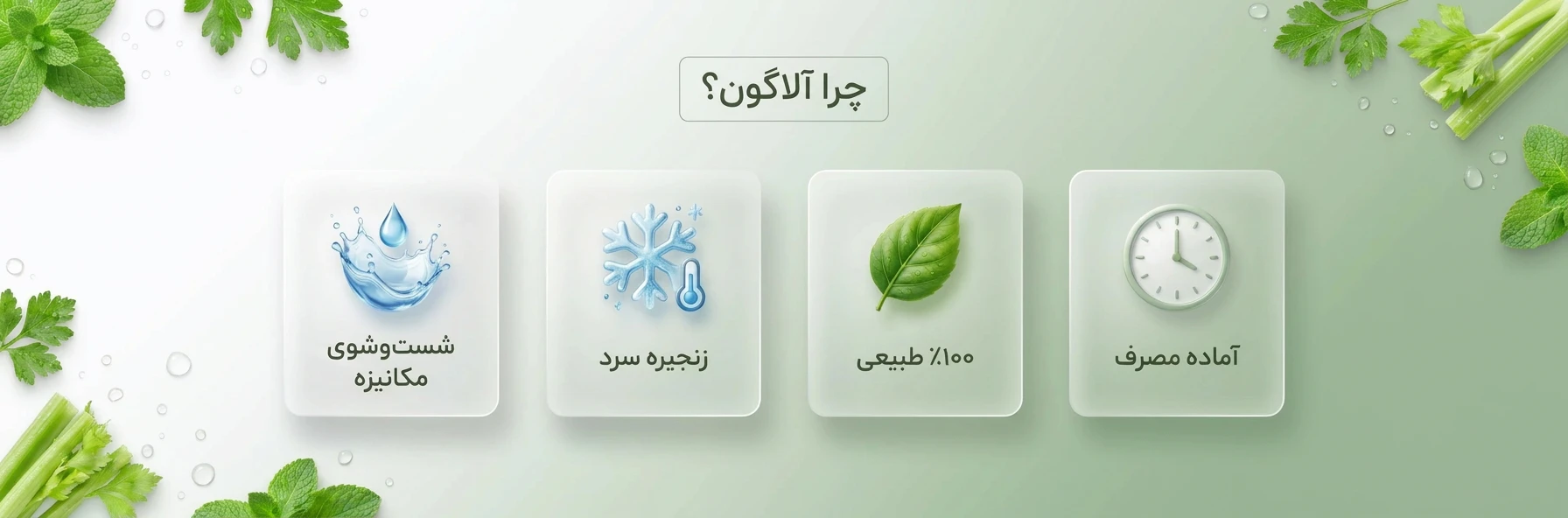 alt="چرا آلاگون - آشنایی با داستان برند، استانداردهای بهداشتی، مزرعه تا قفسه و کیفیت سبزیجات تازه و خشک آلاگون"